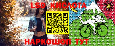 спиды Донской
