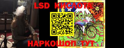 спиды Донской