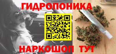 гашик Донецк