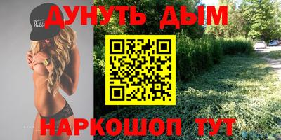 спиды Донской