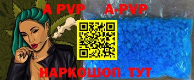 спиды Донской