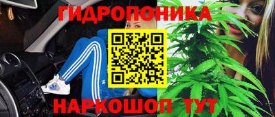 гашик Донецк