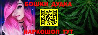 гидра Дубна