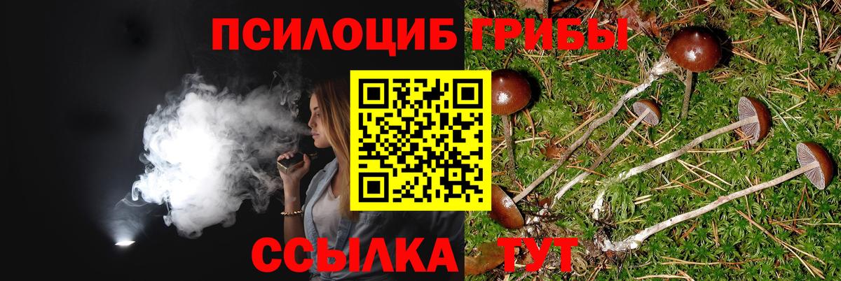 Псилоцибиновые грибы Psilocybine cubensis Ливны